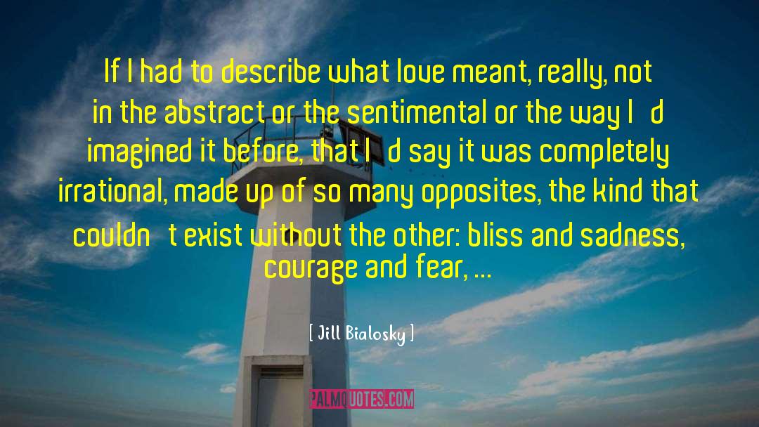 Jill Bialosky Quotes: If I had to describe