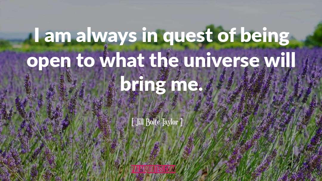 Jill Bolte Taylor Quotes: I am always in quest