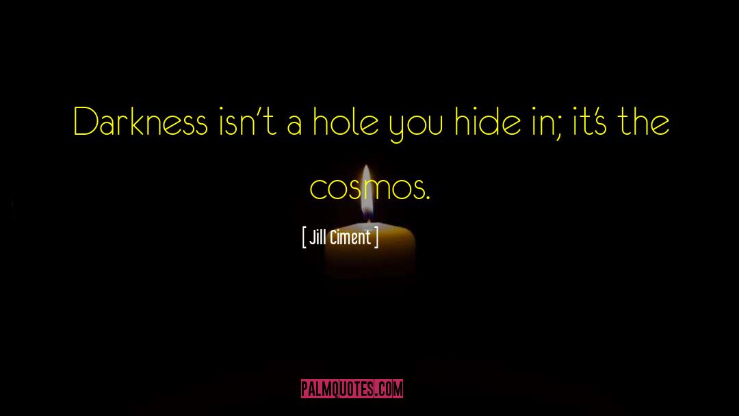 Jill Ciment Quotes: Darkness isn't a hole you