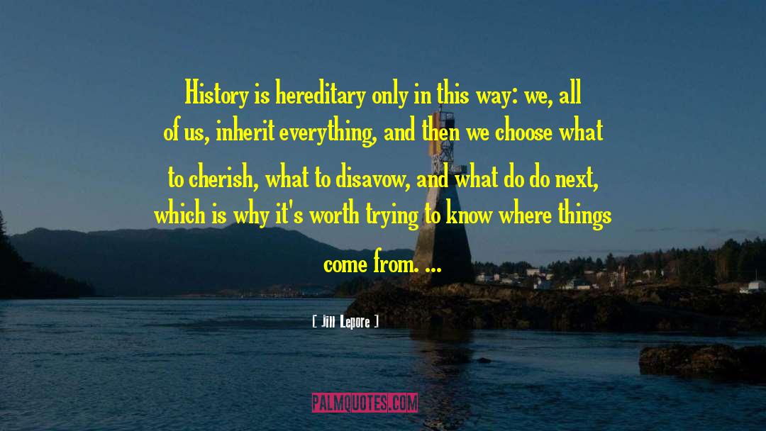 Jill Lepore Quotes: History is hereditary only in