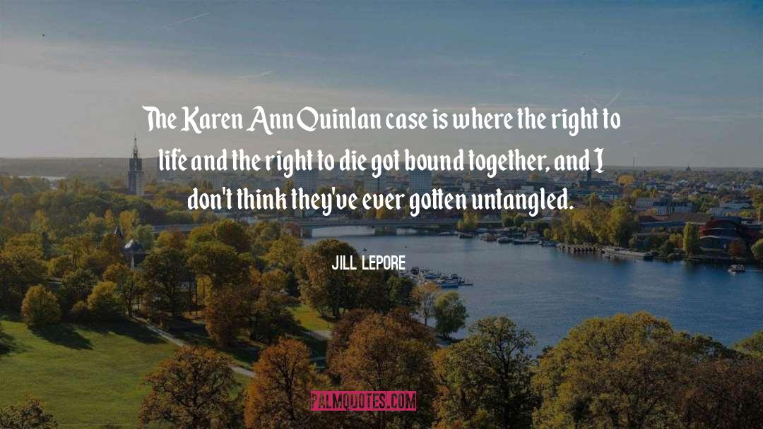 Jill Lepore Quotes: The Karen Ann Quinlan case