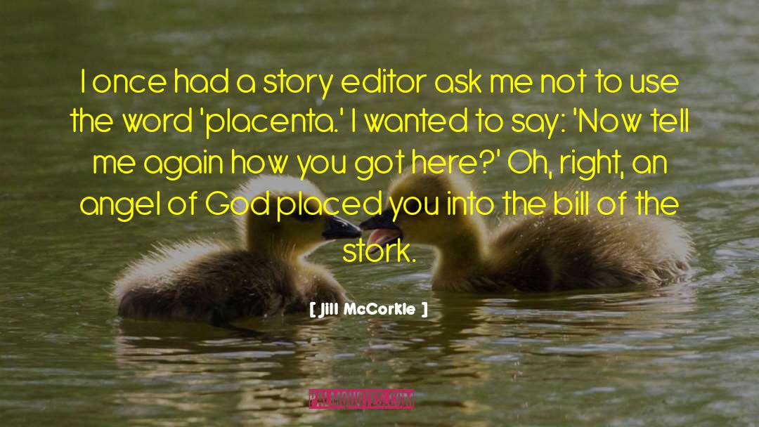 Jill McCorkle Quotes: I once had a story