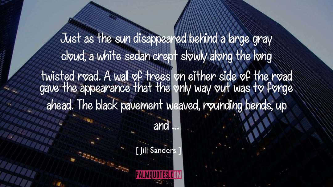 Jill Sanders Quotes: Just as the sun disappeared