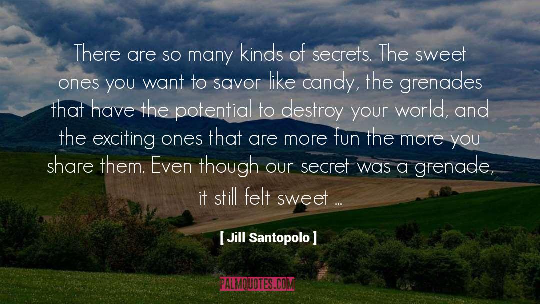 Jill Santopolo Quotes: There are so many kinds