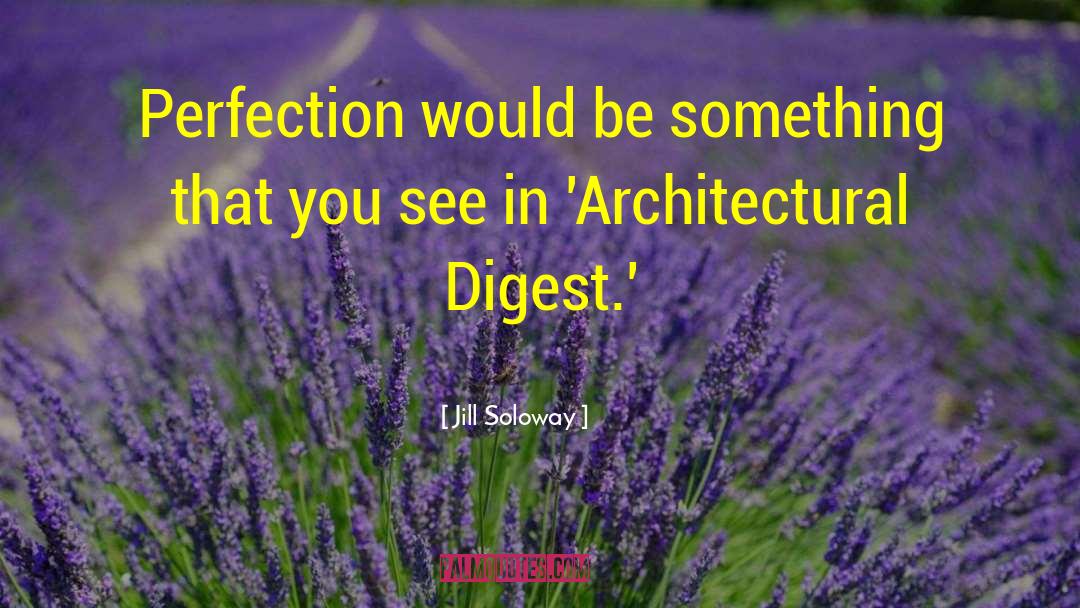 Jill Soloway Quotes: Perfection would be something that