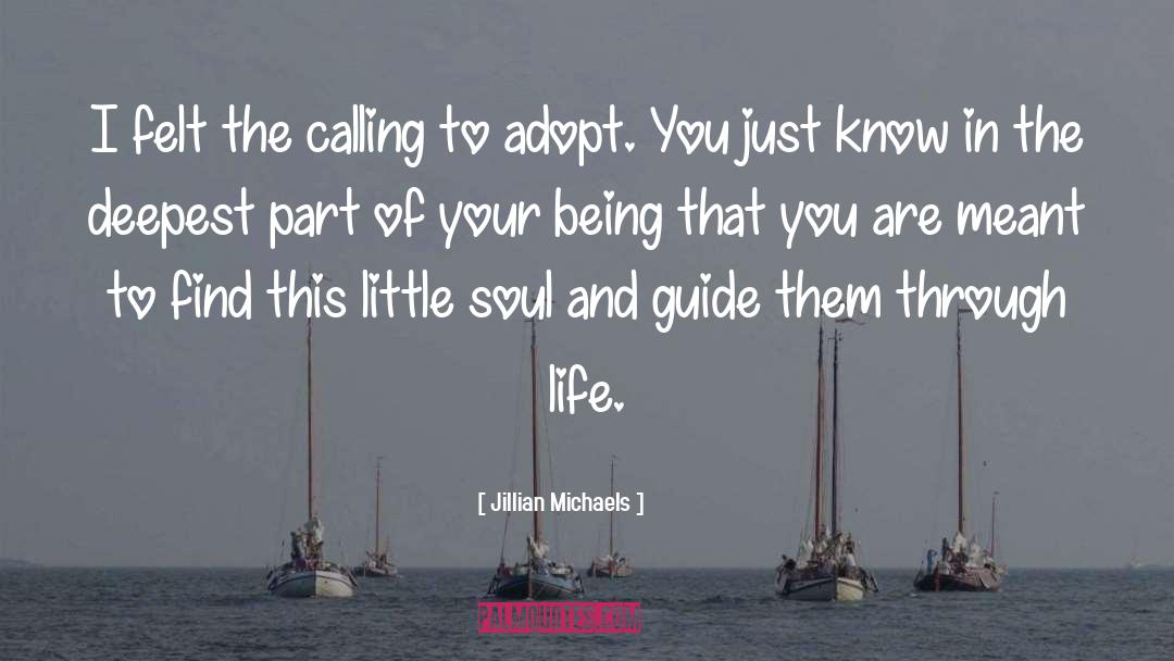 Jillian Michaels Quotes: I felt the calling to