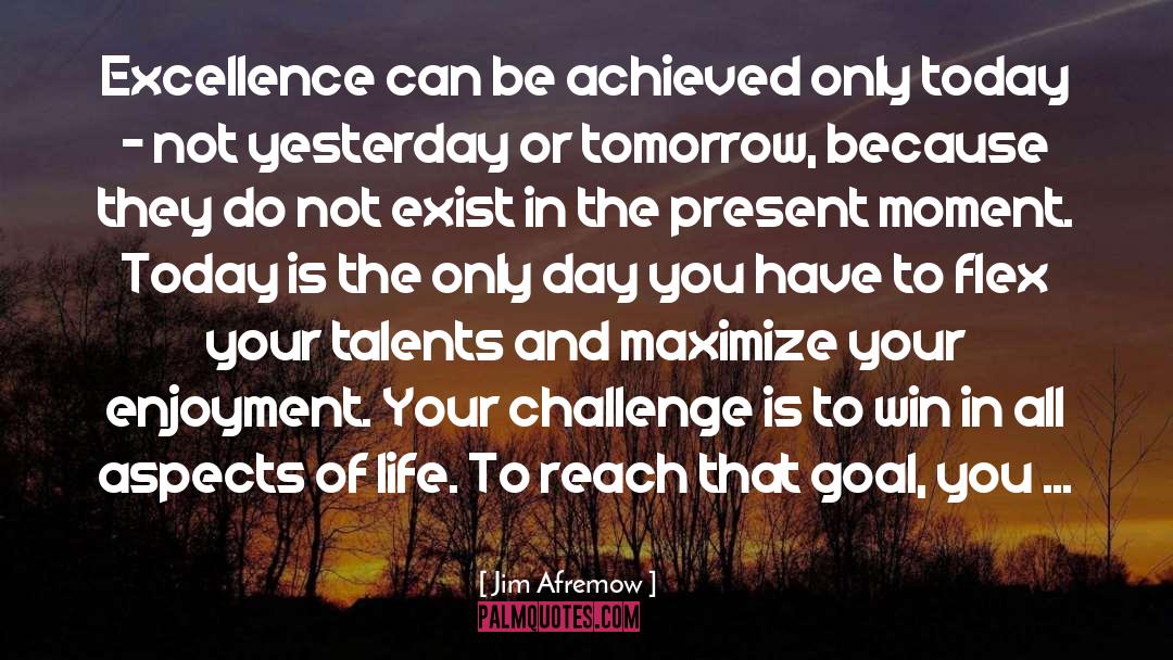 Jim Afremow Quotes: Excellence can be achieved only