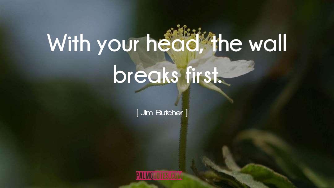 Jim Butcher Quotes: With your head, the wall