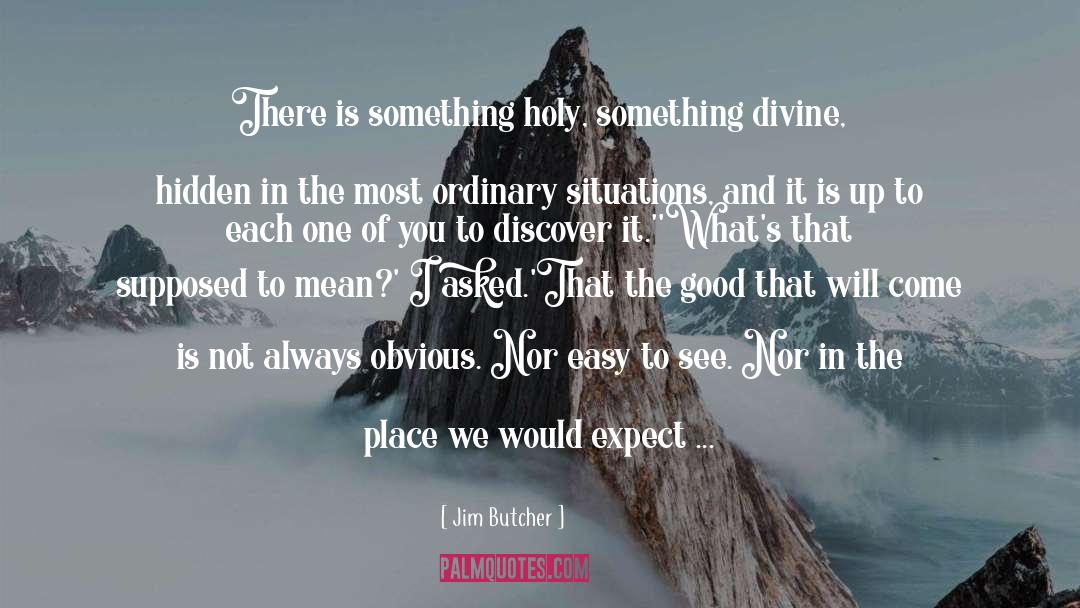 Jim Butcher Quotes: There is something holy, something