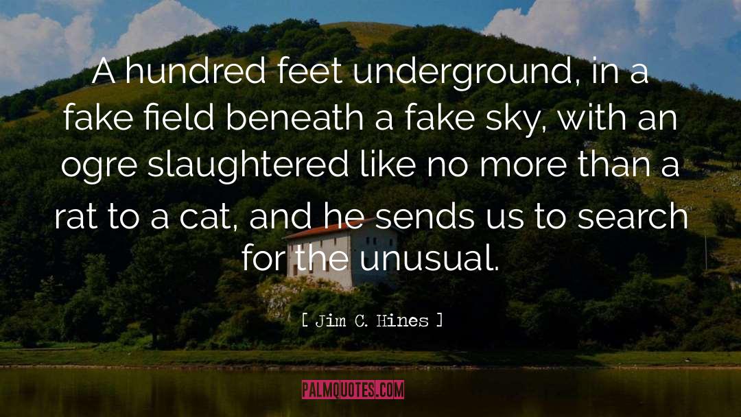 Jim C. Hines Quotes: A hundred feet underground, in