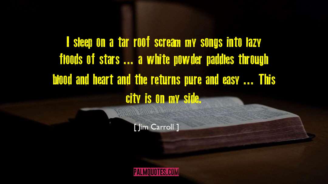 Jim Carroll Quotes: I sleep on a tar