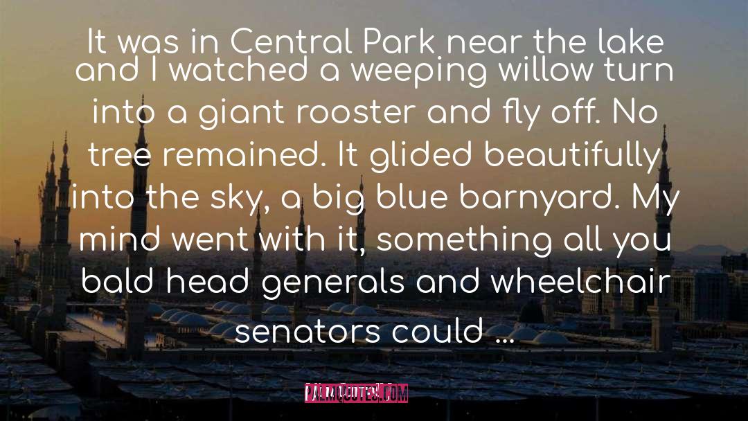 Jim Carroll Quotes: It was in Central Park