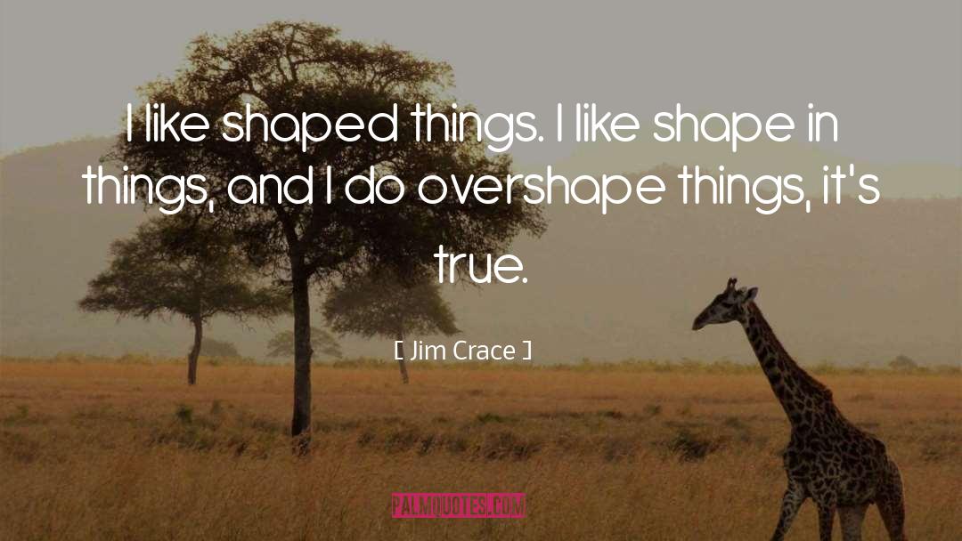 Jim Crace Quotes: I like shaped things. I