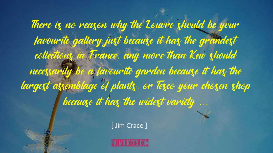 Jim Crace Quotes: There is no reason why