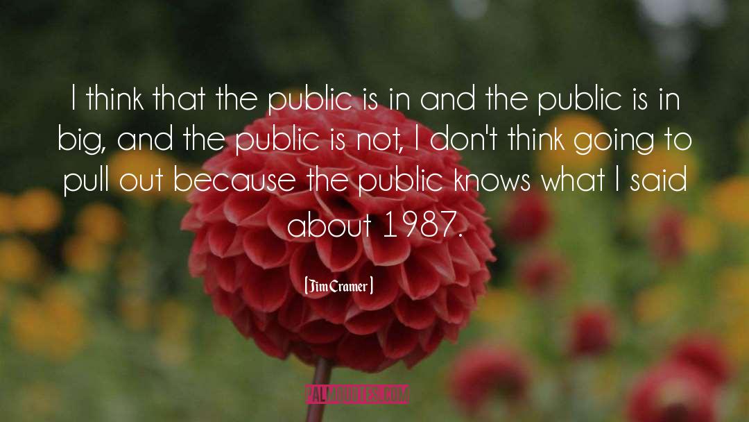 Jim Cramer Quotes: I think that the public