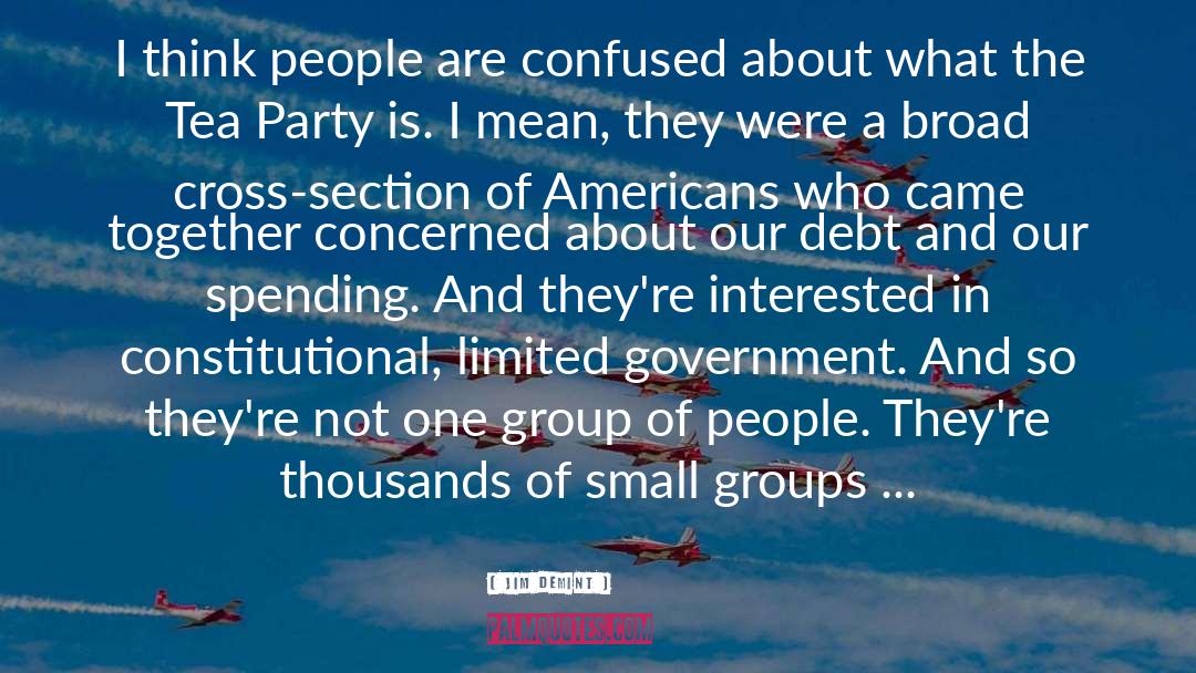 Jim DeMint Quotes: I think people are confused