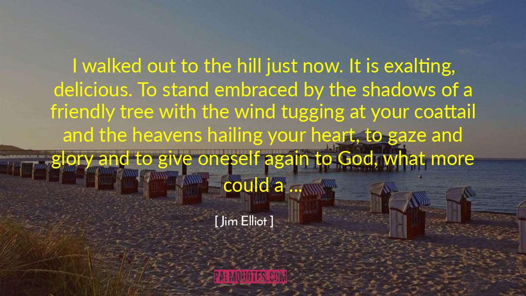 Jim Elliot Quotes: I walked out to the