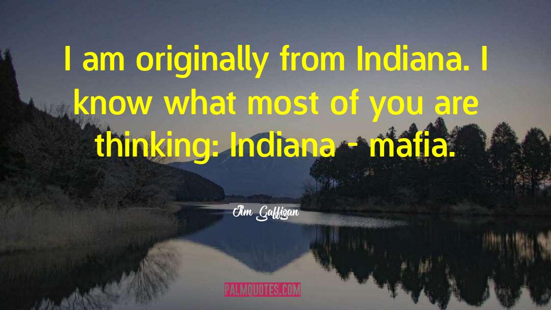 Jim Gaffigan Quotes: I am originally from Indiana.