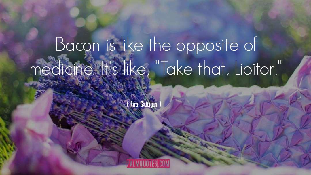 Jim Gaffigan Quotes: Bacon is like the opposite