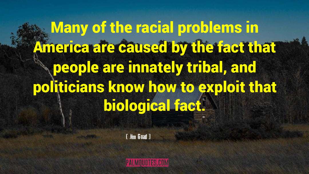 Jim Goad Quotes: Many of the racial problems