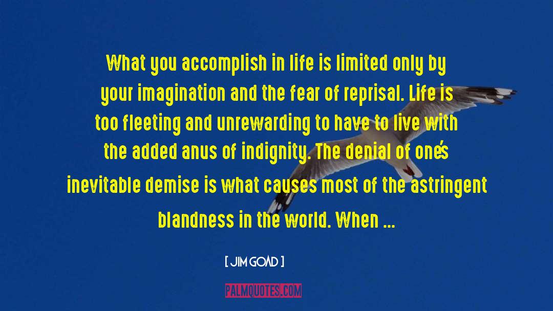 Jim Goad Quotes: What you accomplish in life