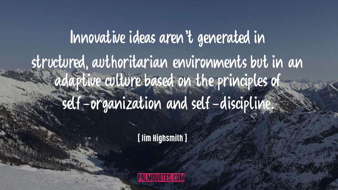 Jim Highsmith Quotes: Innovative ideas aren't generated in