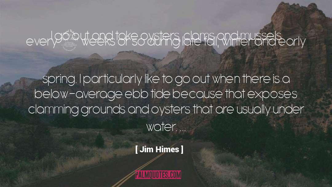 Jim Himes Quotes: I go out and take