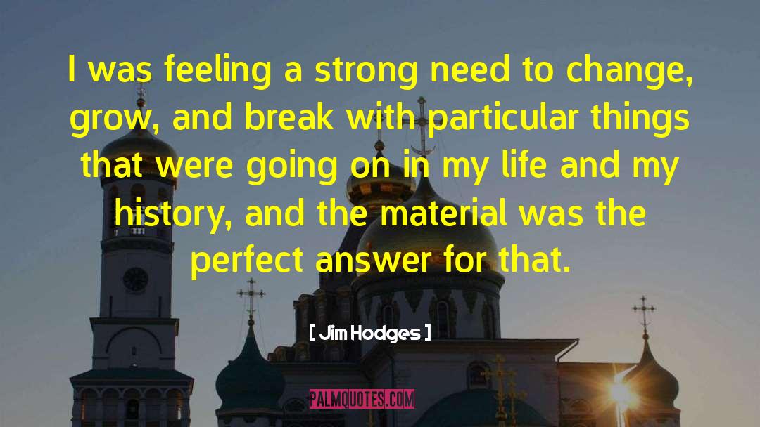 Jim Hodges Quotes: I was feeling a strong