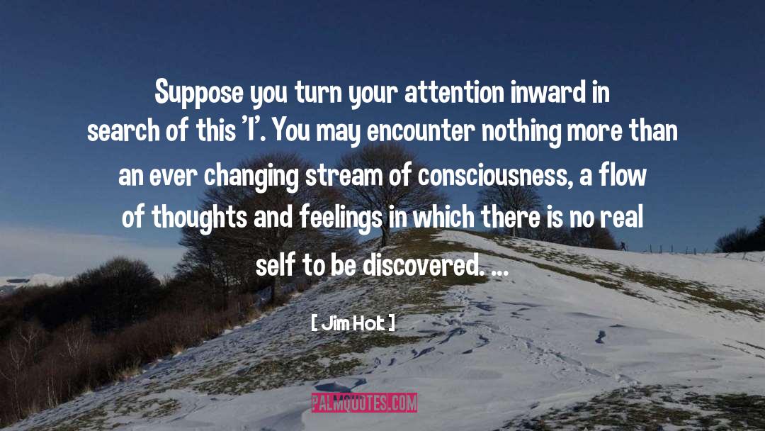 Jim Holt Quotes: Suppose you turn your attention
