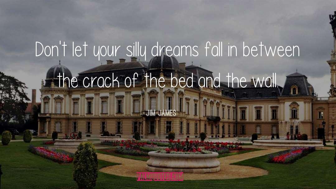 Jim James Quotes: Don't let your silly dreams