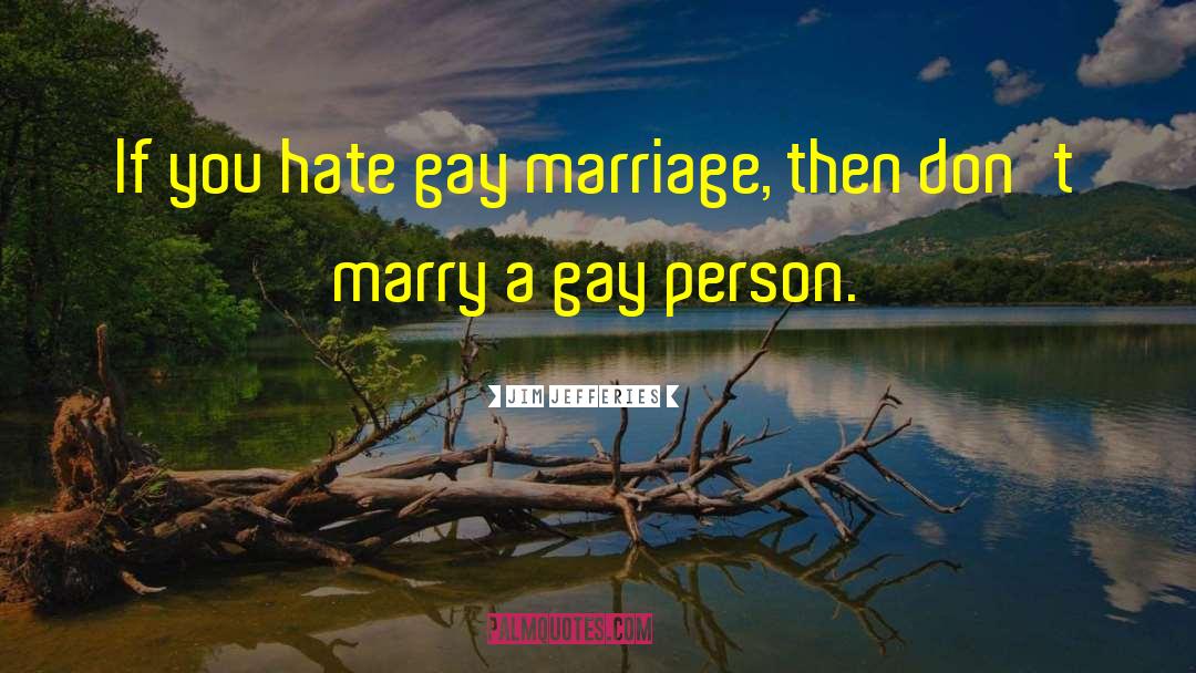 Jim Jefferies Quotes: If you hate gay marriage,