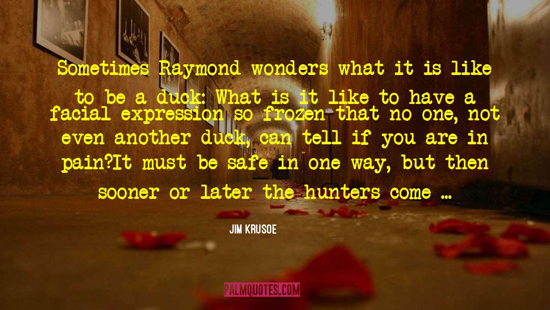 Jim Krusoe Quotes: Sometimes Raymond wonders what it