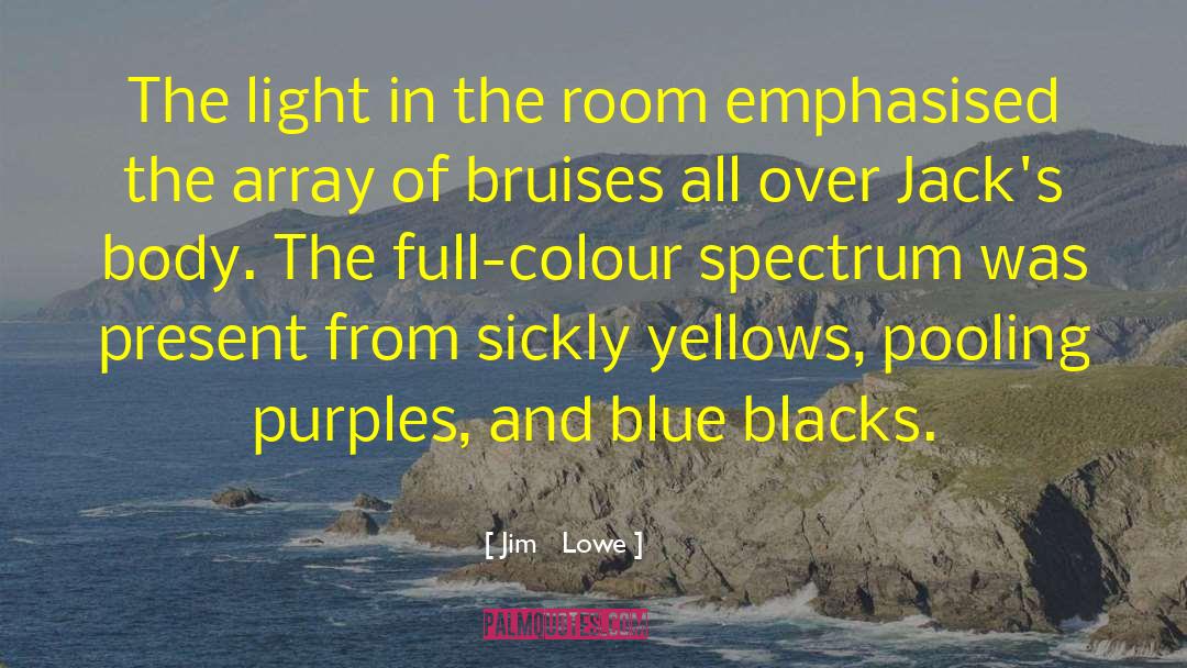 Jim   Lowe Quotes: The light in the room