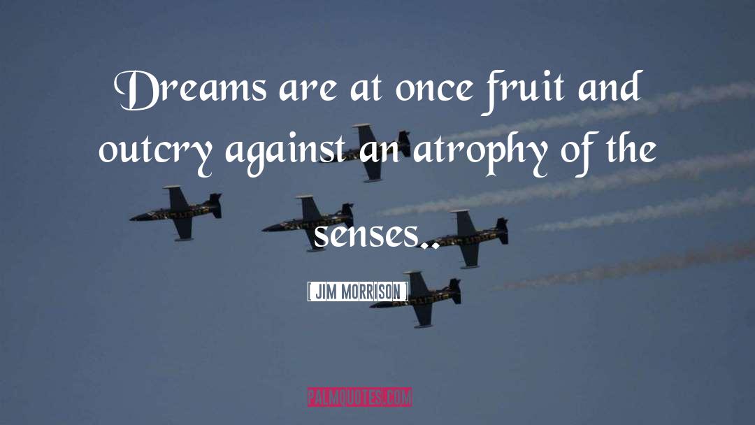 Jim Morrison Quotes: Dreams are at once fruit