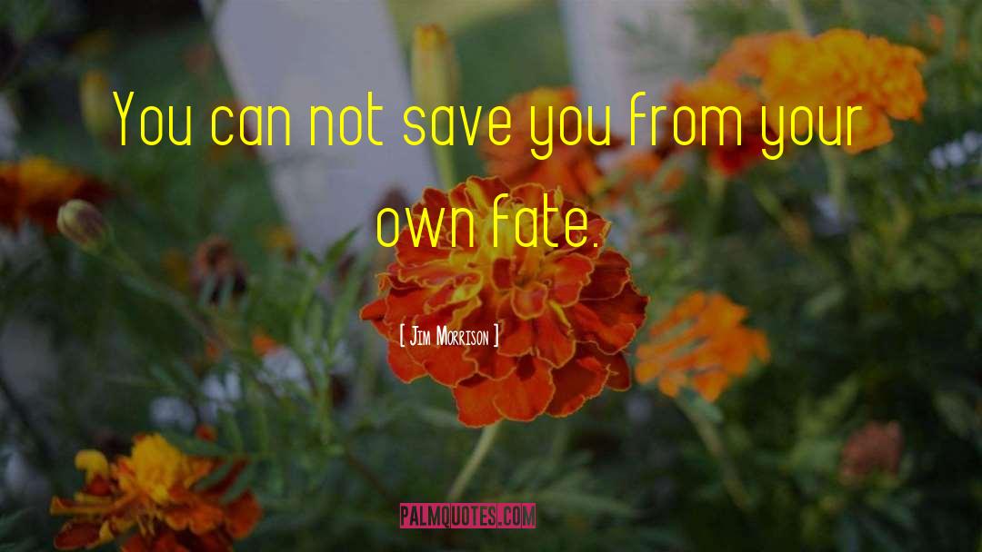 Jim Morrison Quotes: You can not save you