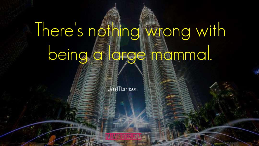 Jim Morrison Quotes: There's nothing wrong with being