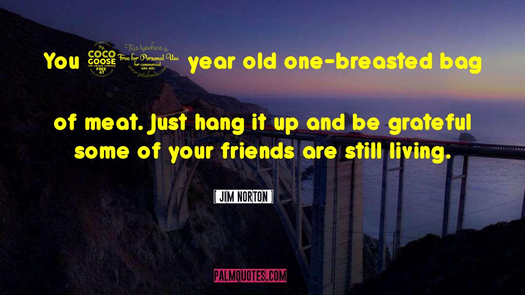Jim Norton Quotes: You 50 year old one-breasted