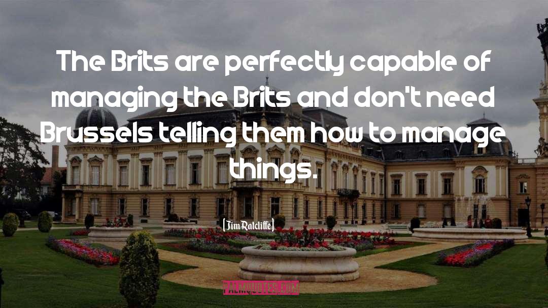 Jim Ratcliffe Quotes: The Brits are perfectly capable