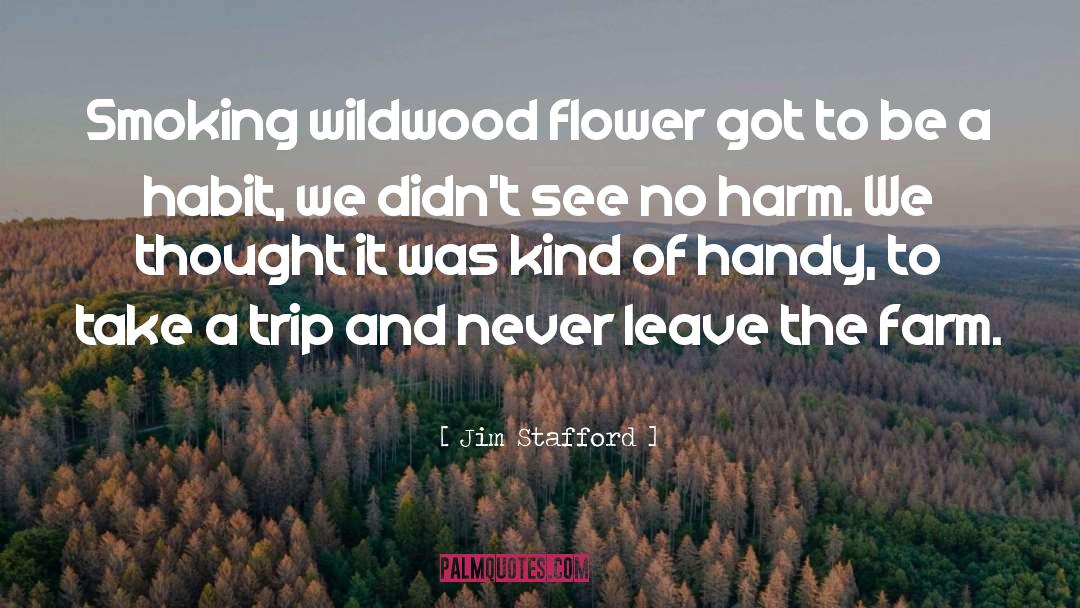 Jim Stafford Quotes: Smoking wildwood flower got to