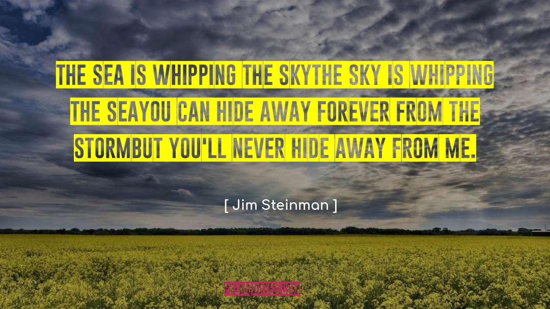 Jim Steinman Quotes: The sea is whipping the