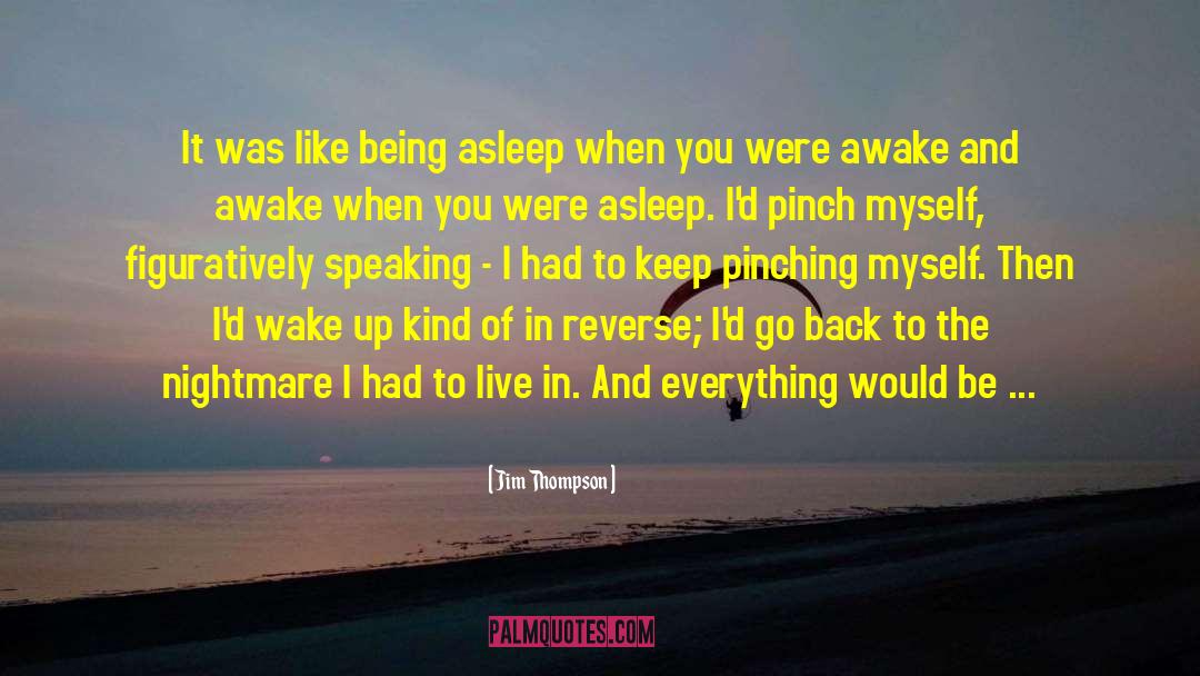 Jim Thompson Quotes: It was like being asleep