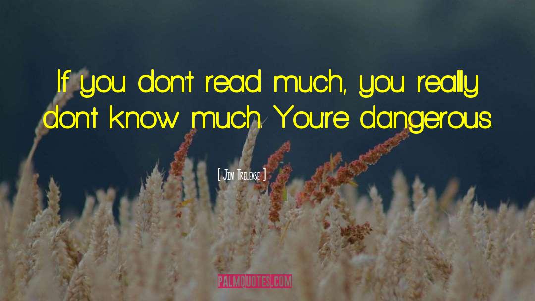 Jim Trelease Quotes: If you don't read much,