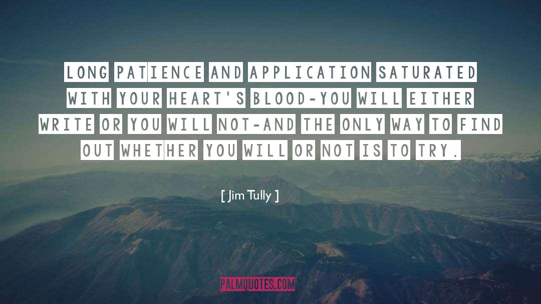 Jim Tully Quotes: Long patience and application saturated