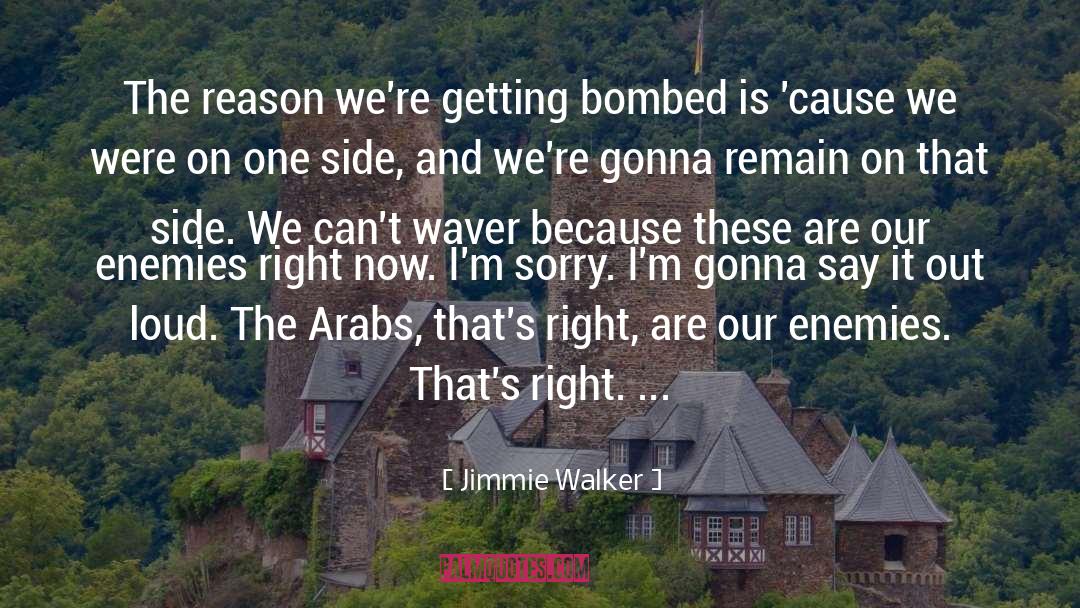 Jimmie Walker Quotes: The reason we're getting bombed