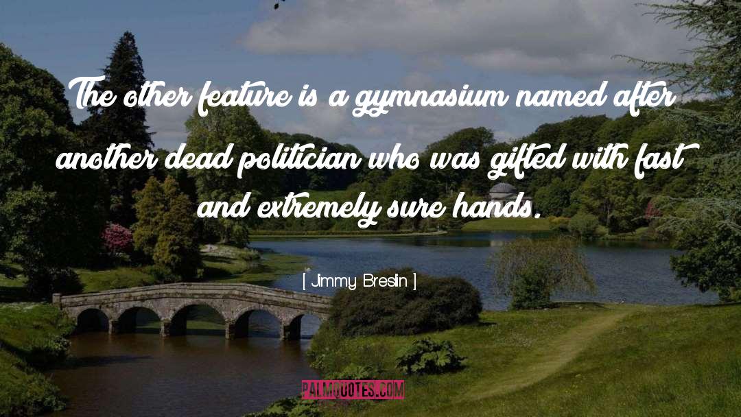 Jimmy Breslin Quotes: The other feature is a