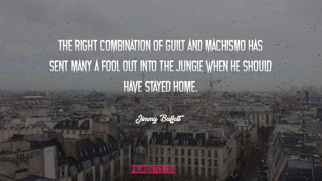 Jimmy Buffett Quotes: The right combination of guilt