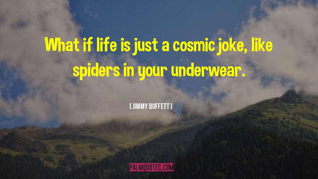 Jimmy Buffett Quotes: What if life is just
