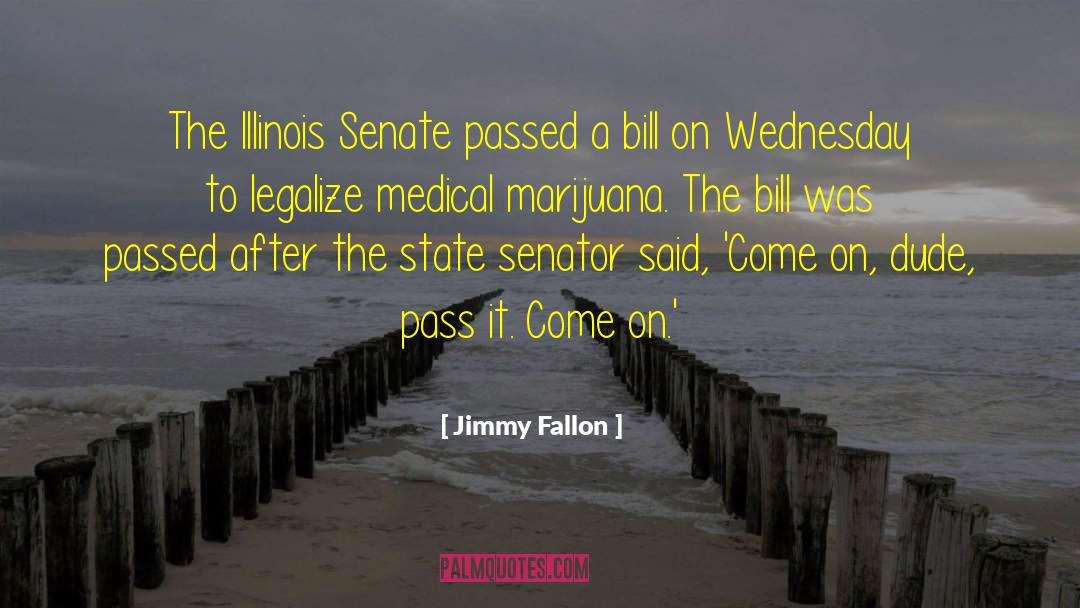 Jimmy Fallon Quotes: The Illinois Senate passed a