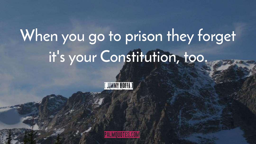 Jimmy Hoffa Quotes: When you go to prison
