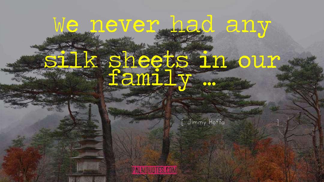 Jimmy Hoffa Quotes: We never had any silk